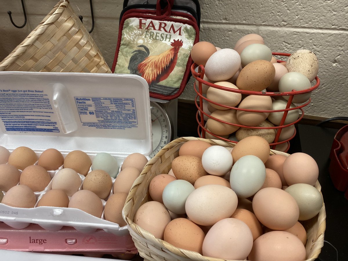 BakerCharm's tweet photo. So many beautiful eggs! We ❤️ our chickens! https://t.co/xVBqqzzu94