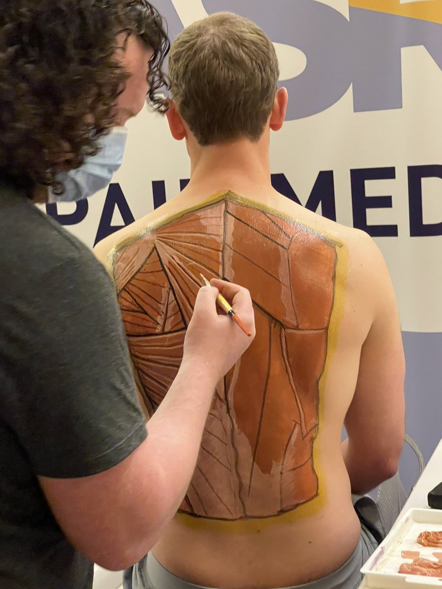 RAldwinckle's tweet photo. Practical back anatomy in the exhibit center !! https://t.co/RLgTjF5En1