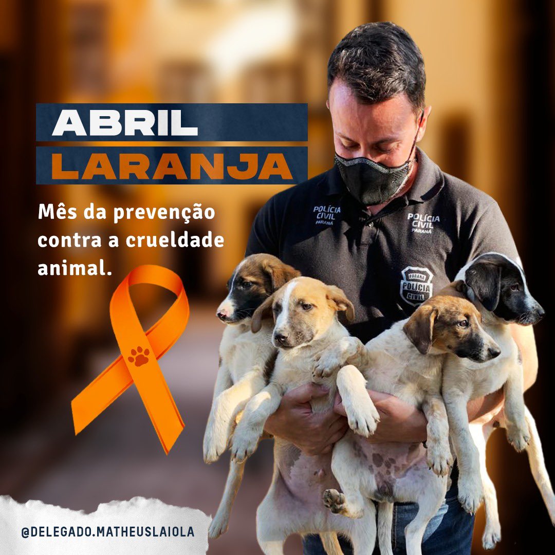 MatheusLaiola's tweet photo. Você sabia que o mês de Abril é considerado, de maneira simbólica, como o Abril Laranja?!
O objetivo é conscientizar ainda mais a população sobre os maus-tratos aos animais, repudiando qualquer ato que imprima sofrimento físico e/ou psíquico a qualquer espécie.
COMPARTILHE!!! https://t.co/mzf0PteLGy