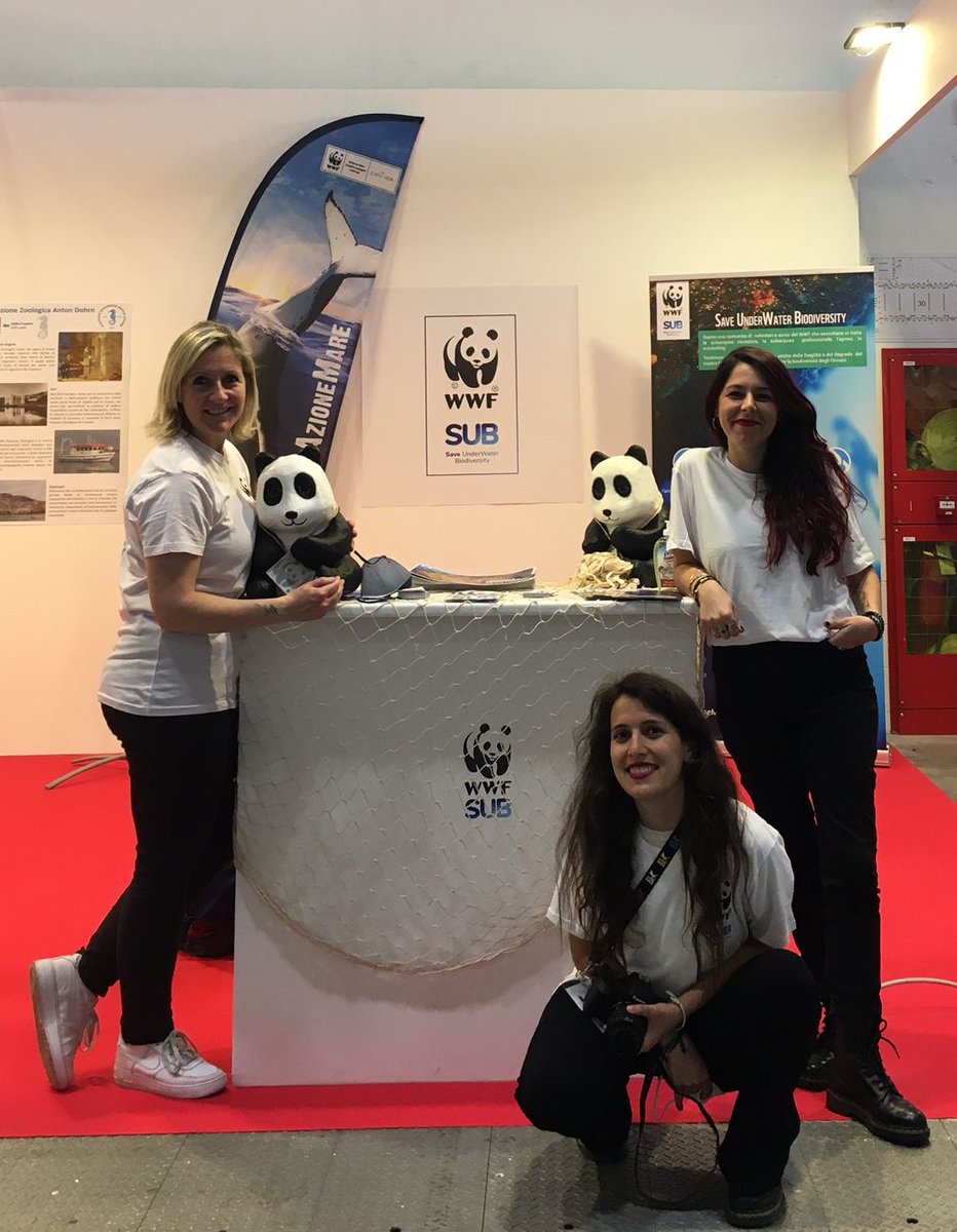 WWFitalia's tweet photo. Il team di #wwfsub vi aspetta a #EUDISHOW -Padiglione 30/stand F 28
Sabato 2 aprile ore 17.00 presentiamo i risultati e il programma '22 con @donabianchi1 @r_danovaro
@leodimpo @LPintore
Facciamo crescere la community che difende la #biodiversità marina @SznDohrn
#subacquea #WWF https://t.co/bjSRF1sgaf
