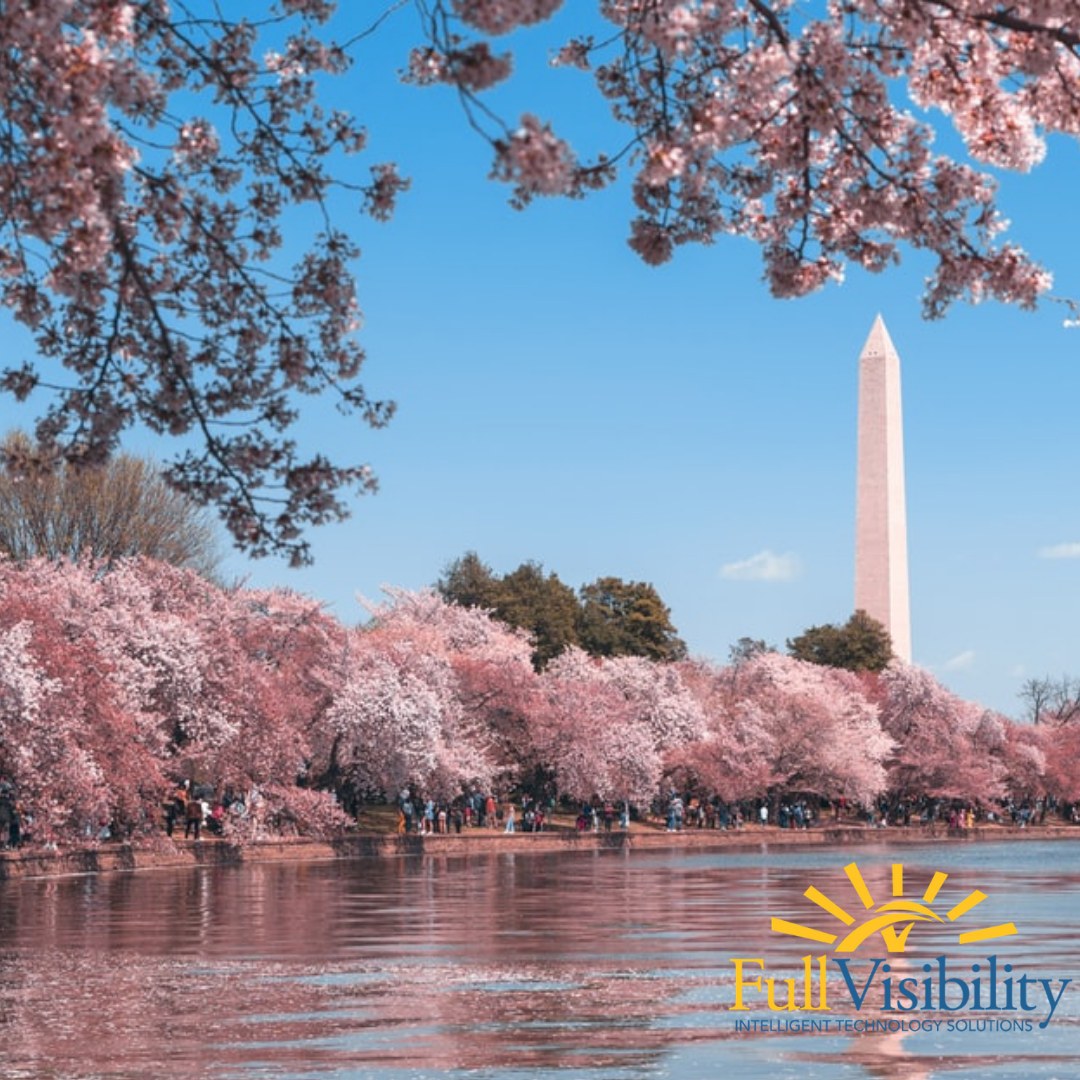 FullVisibility's tweet photo. We’re an employee-centric company that puts our employees first, allowing them to focus on the customer mission.

Opportunities are in full bloom! Go to https://t.co/XgEw4NhJTH for our full list of current vacancies.

#govtech #clearedjobs #hiring https://t.co/wM0xgeXVX6