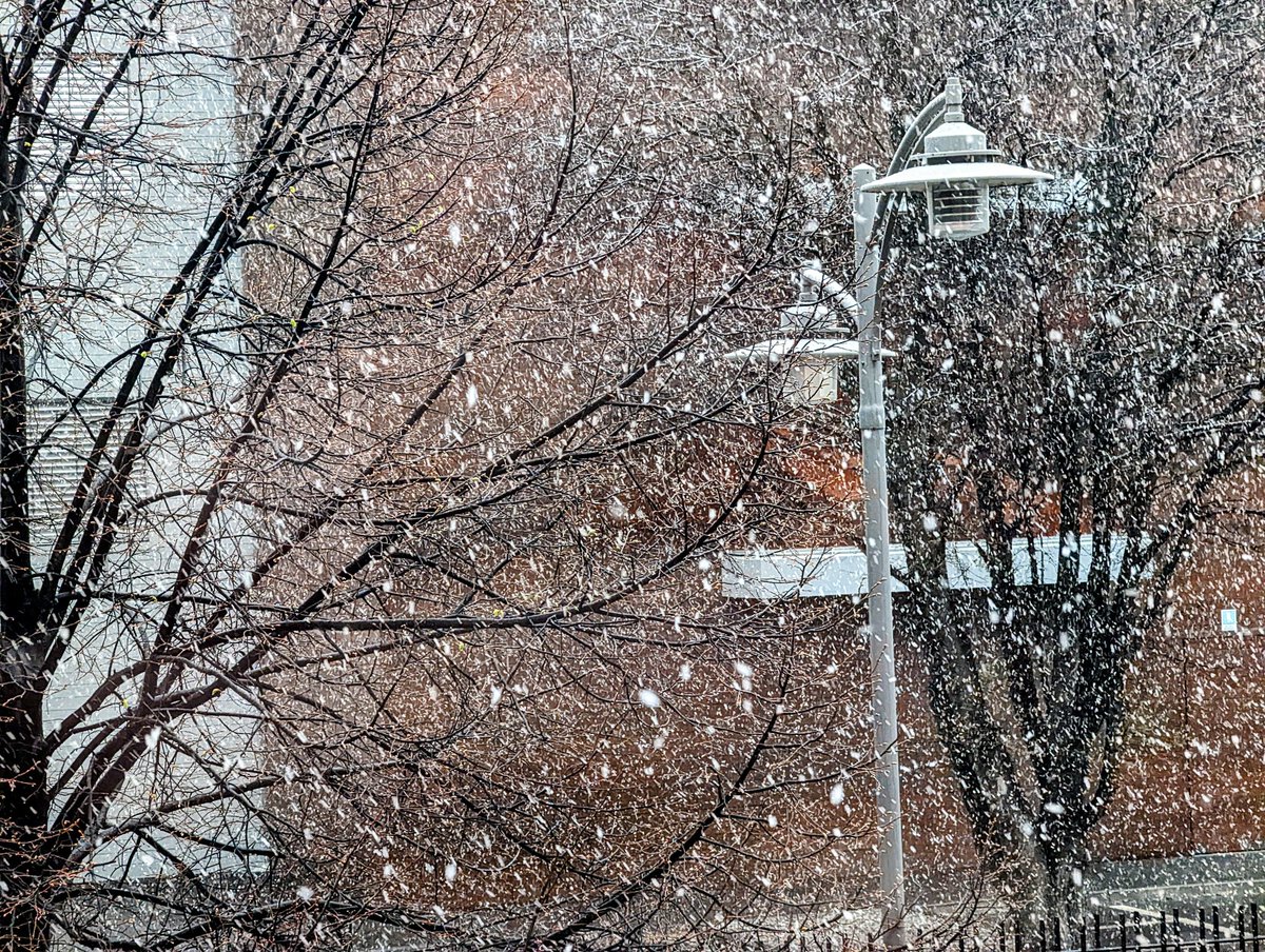 TgrRaiVdA's tweet photo. Aosta, la nevicata del 1 aprile. https://t.co/0Rdp93nQWz