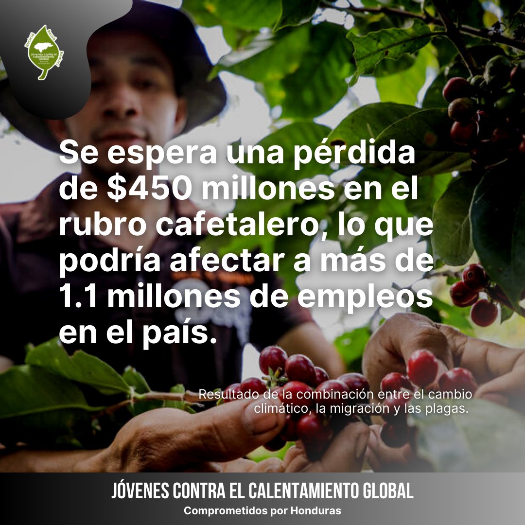 JCCG_official's tweet photo. Como el país más vulnerable del 🌎, ya somos víctimas de los efectos del cambio climático en todo el territorio nacional. Los #JCCG🍃 realizamos concienciación ambiental, pero necesitamos el esfuerzo de todos.

¡Conoce aquí como nos afecta el #CambioClimático en Honduras! 🇭🇳👇🧵 https://t.co/pEznNTgfCw