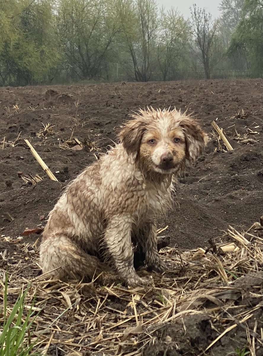 il est l’heure de vous présenter mon chou de tous les jours 😎