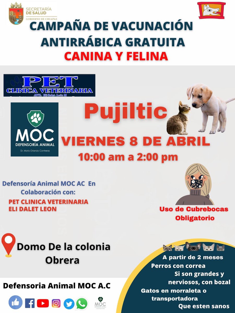 DefensoriaMOC's tweet photo. Defensoria Animal MOC A.C. En colaboración con PET CLIINICA VETERINARIA, Te invitamos a la campaña de Vacunación antirrábica para perros y gatos.
Estaremos en el “Domo de la colonia Obrera.
Porfavor sé dueño responsable y lleva a tus peludos 🐶 https://t.co/s3KGK3hK0i