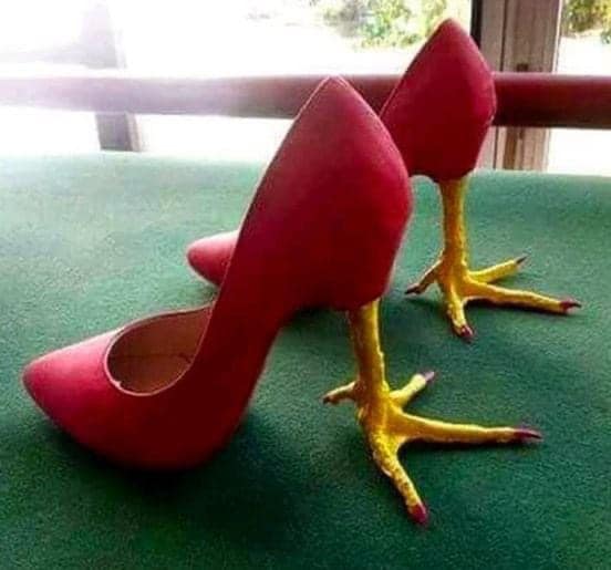JoyADUs's tweet photo. Happy April Fools Day https://t.co/pvygh783G2