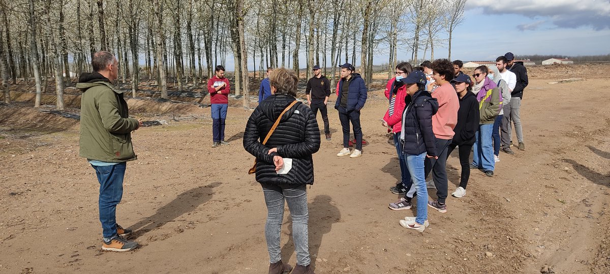 Màster en Enginyeria Agronòmica🌻🐔🍿🐷🍷🐮🍺🍎 tweet media