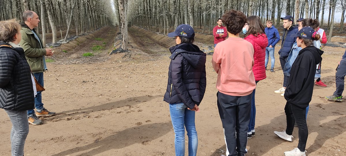 Màster en Enginyeria Agronòmica🌻🐔🍿🐷🍷🐮🍺🍎 tweet media