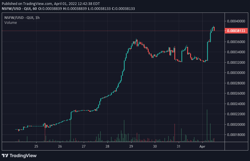 Pleasure_coin's tweet photo. 💎Next leg🆙you say?💎
The best news &amp; updates are yet to come ↗️↗️↗️

Buy now, or FOMO later! Our past #BSCGem hunters, come check out this #Polygon gem, you won't be disappointed!

Adult Eco-System growing at the speed of light!
#Crypto #cryptocurrency #altcoin #altcoins #BSC https://t.co/absvoxtzbX