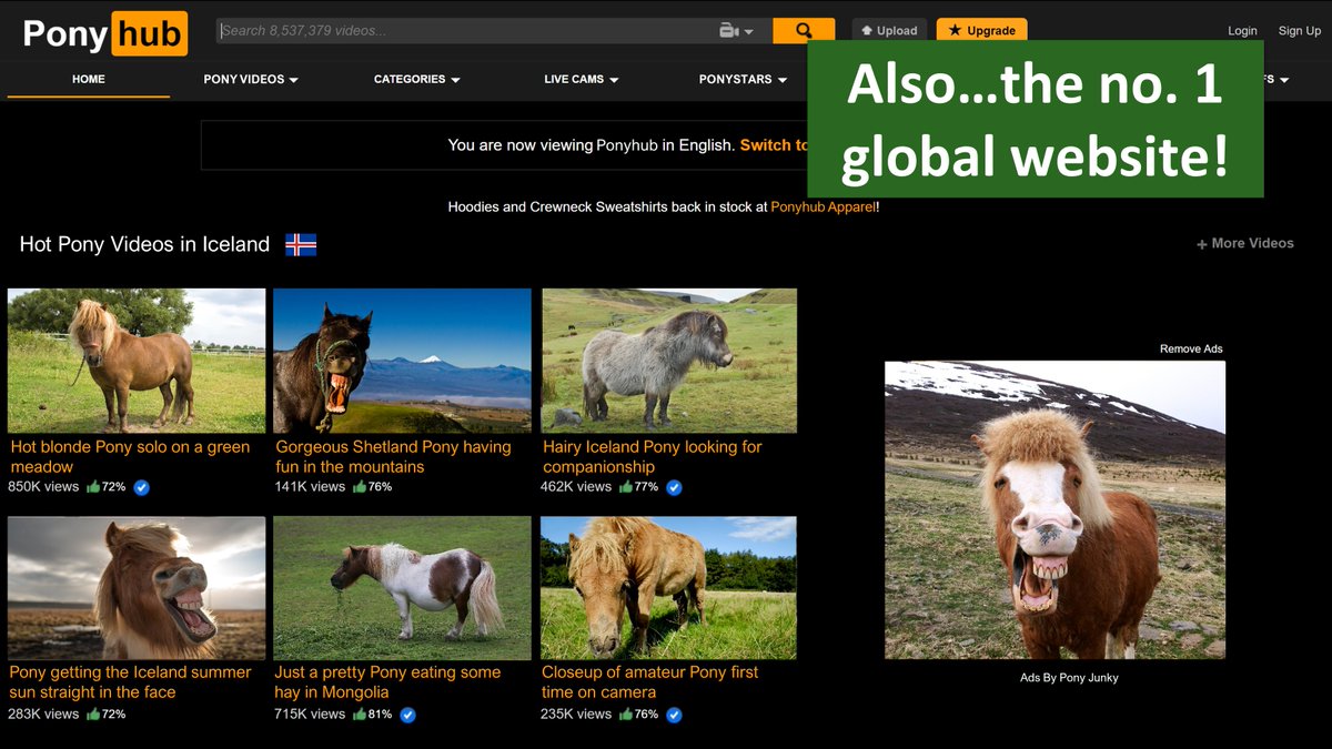 Why are we so sure that people want out product? Because #Ponies are an absolute mega-trend, that's why!