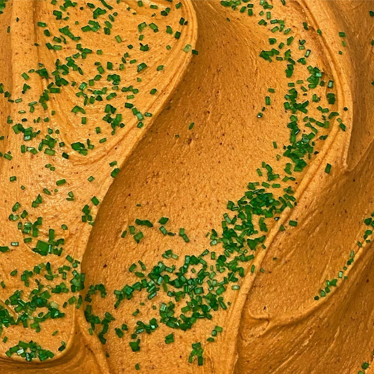 Lindsey Nelsen tweet media