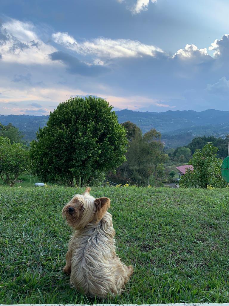 PEPINCOL's tweet photo. 🌎 https://t.co/h0K9xgfjGU