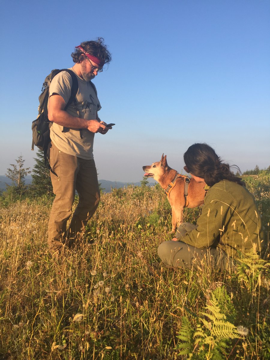 ForestServiceNW's tweet photo. We got the sad news last night that we lost Alli, the original detection dog that helped us pioneer the method that has allowed us to find Oregon Silverspot Butterfly larvae in the wild. Alli was a beloved "canine colleague" of Rogue Detection Teams &amp; the entire OSB community. https://t.co/wjSDi5RVJM