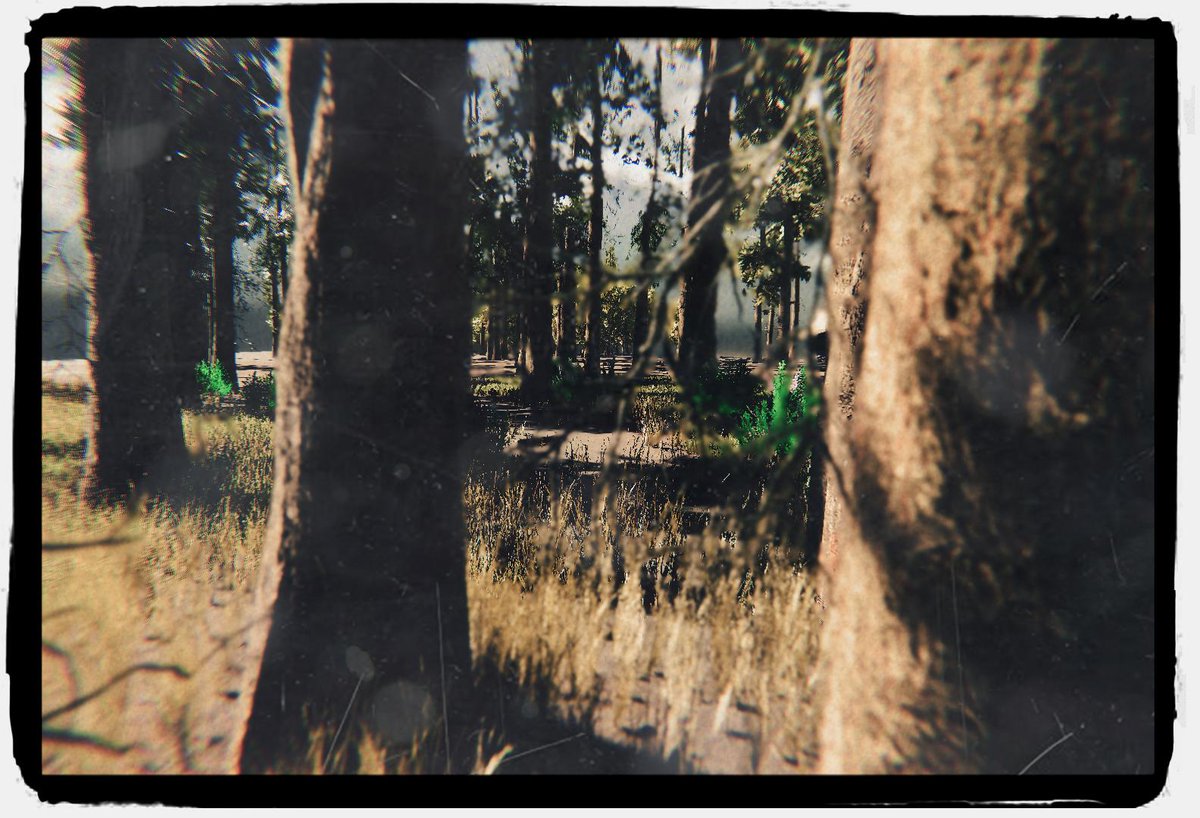 Into the woods

#100DaysofGameDev #gamedev #IndieGameDev #indiegames #madewithunity #VirtualPhotography