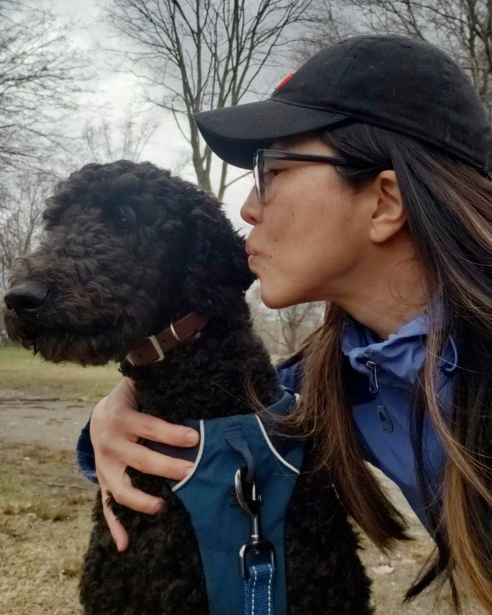 Boston Mamas tweet media