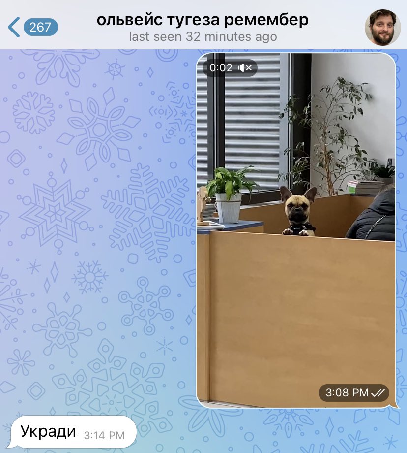 veterinastya's tweet photo. присылаю мужу пёселей с работы
муж: https://t.co/mseO5QUf9R