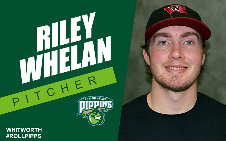 PippinsBaseball's tweet photo. Meet the newest additions to the Pippins this year: @RileyWhelan17 , @sethryberg_ and @AidanDougherty7! Welcome, guys! Read more at https://t.co/gwy3xFL1Pg. #RollPipps https://t.co/2GVpDSxt2g