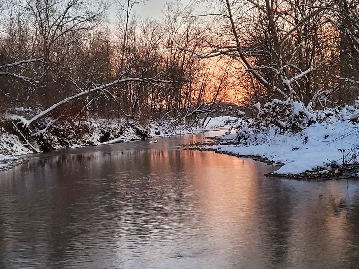 MARCH WINNERS: Thank you to everyone who participated in our March photo contest, #reflections.

Wood Duck- Connie Atwood Murphy, Gum Lick rd.
Goose Creek- Steve Whaley
Reflected Tree- Sherri Hatter, Liberty
Covered in Snow- Gentry Hill, Carpenter Creek
#libertyky #findingliberty