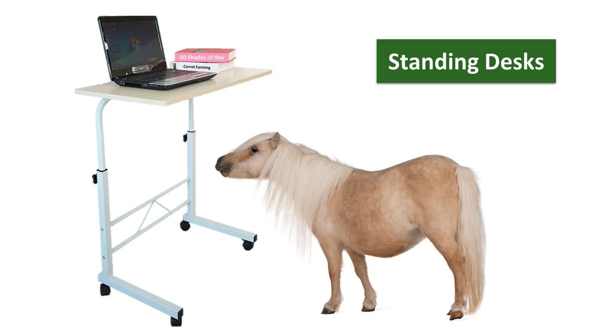 Our #CompanyCulture is more important to us than ANYTHING else. If our #employees don't love working here, we will fail!