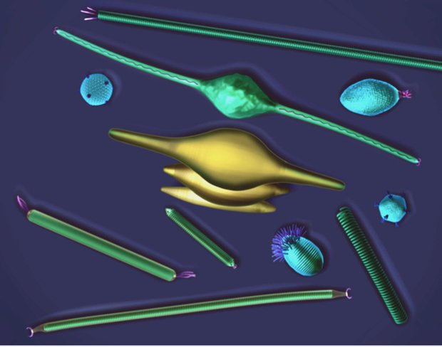 axxoncf's tweet image. Virus volcánico que cambia de forma ofrece nuevas formas de administrar medicamentos y vacunas
axxon.com.ar/noticias/virus…