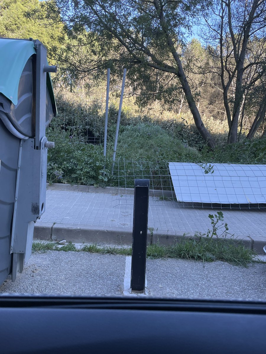 Maika Rodrigo Lleó tweet media