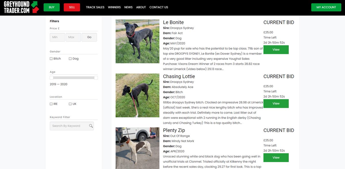 Greyhound Trader tweet media