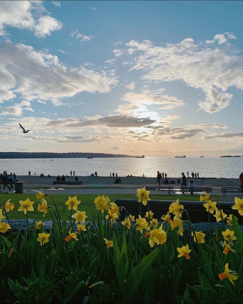 FraserRivKeeper's tweet photo. For #FRKFeatureFriday this week, we’re featuring a beautiful photo that shows how spring has sprung at English Bay!🌼
📷: ohye2000, Instagram https://t.co/pVl5NMbP2z