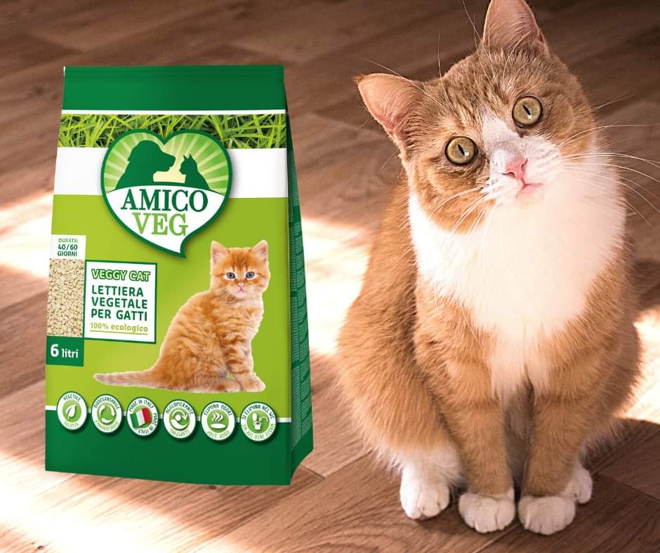 amicoveg's tweet photo. Con la lettiera vegetale per gatti VeggyCat #AmicoVeg puoi prenderti cura dell'igiene del tuo quattrozampe in modo etico: non solo è totalmente #vegetale, ma anche 100% #ecologica! https://t.co/3XNZsZnEmy