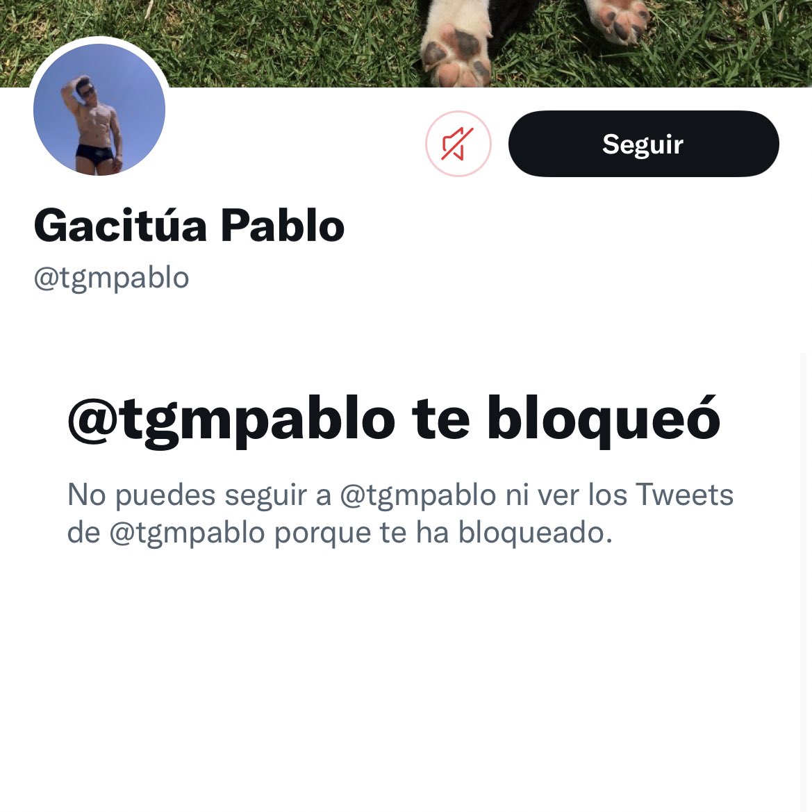 Yo solo le escribí la receta de completos italianos para ver si cambiaba de opinión 😢