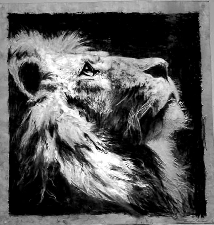 Inverted_Emma's tweet photo. Hey everyone! So I've finally decided to actually pursue art professionally. Commissions are currently open. I will be setting up my etsy at some point. But until then my DMs are open. I love to do illustration and portraits! https://t.co/onWWdJ9JCL