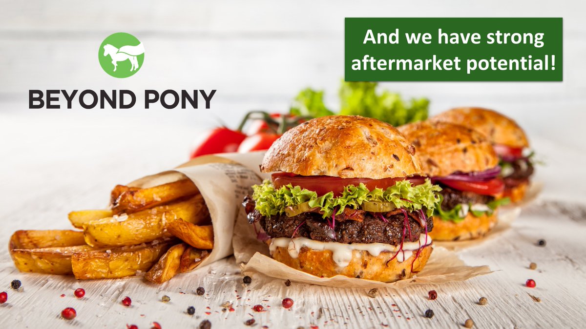 Yes, we want to bring #Ponies to the people. But like any #startup, we also want to become #billionaires. So a strong #BusinessModel with multiple revenue streams is really essential. And we have it!