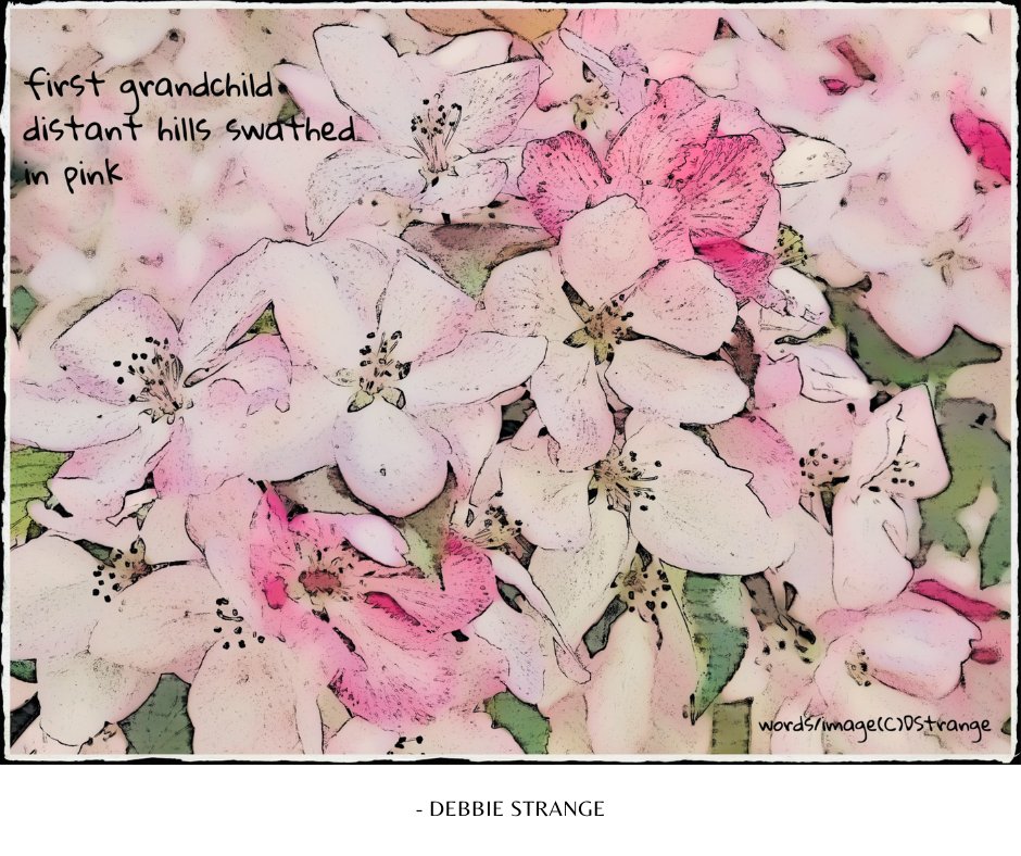 CGjapanTO's tweet photo. Thanks to all our Sakura Haiku Challenge contributors, we can share their wonderful cherry blossoms haiku to add some joy to grey days like these! https://t.co/Ke4NmMll4u