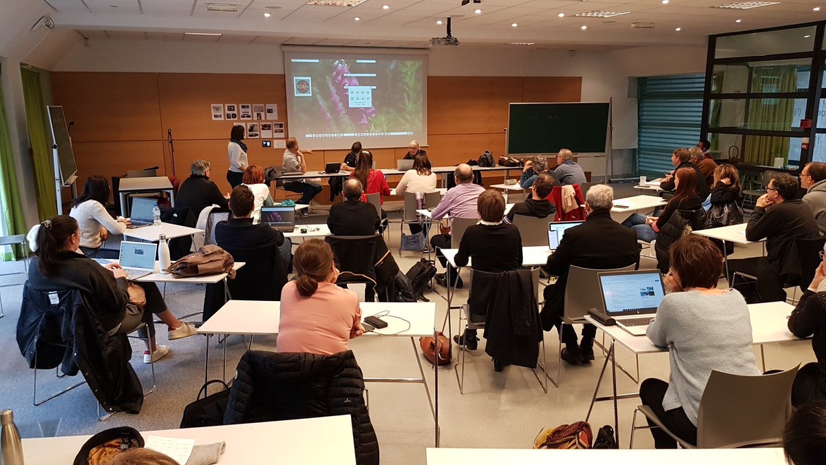 Damien Raymond tweet media