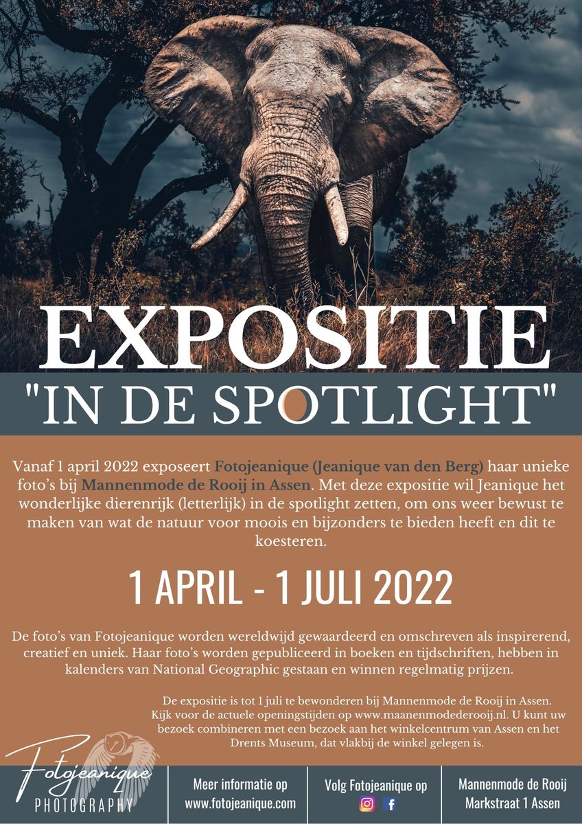 info_rooij's tweet photo. Nieuwe expositie van @FotoJeanique, 'In de Spotlight'! 
Haar foto's worden  gepubliceerd in boeken en tijdschriften, hebben in kalenders van National Geographic gestaan en winnen regelmatig prijzen!
https://t.co/veqOqlvla7
https://t.co/6NNEKrVYTZ

#Assen #mannenmode #expositie https://t.co/jc6SjRcRC7