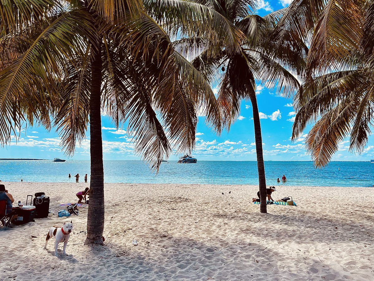 IleanaGarciaUSA's tweet photo. Another gorgeous weekend in Miami! Let’s stay mindful as we enjoy our beautiful environment.
#lovewhereyoulive
#boatingsafetyact
#savethebay #biscaynebay
@CityofMiami https://t.co/j7yFmGqKhF