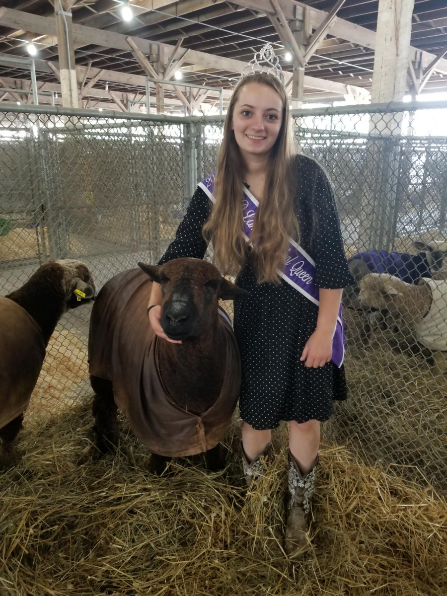 Entries are now being accepted for the Maryland Sheep &amp; Wool Ambassador Competition. Full contest rules are available at sheepandwool.org/festival/maryl…

The entry deadline is April 21, 2022. Interested parties should email ambassador@sheepandwool.org for an entry form. #mdsw2022