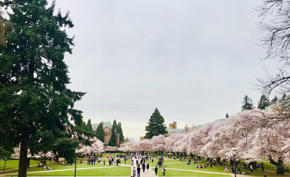 ingridsrinath's tweet photo. Another Spring. April 2017. #NostalgiaFiles https://t.co/VHeOOfq88u