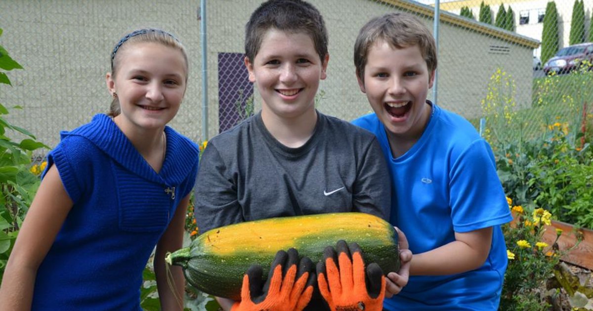 CFSWW's tweet photo. The sun is shining and it's taking us back to the lovely days of planting and harvesting with Lower Columbia School Gardens! #cfsww #SWWashington https://t.co/AIwri9ylfd