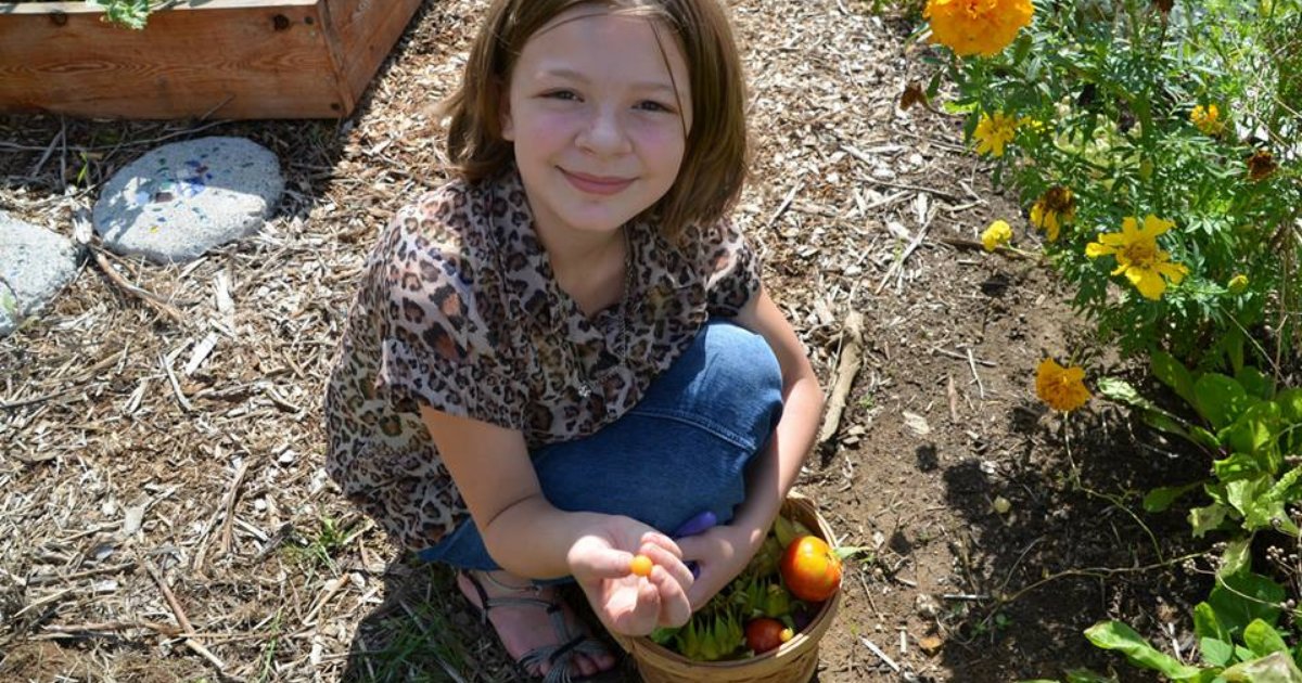 CFSWW's tweet photo. The sun is shining and it's taking us back to the lovely days of planting and harvesting with Lower Columbia School Gardens! #cfsww #SWWashington https://t.co/AIwri9ylfd