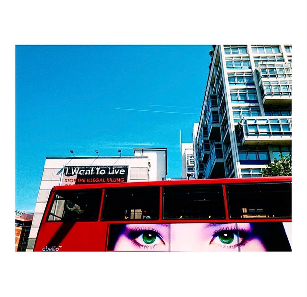sottu's tweet photo. I will never know how you see red and you will never know how I see it. #streetphotography #nfts #nft #nftcommunity #NFTCommunityCryptoArt #photography #red #color https://t.co/ddrqbRCZ34