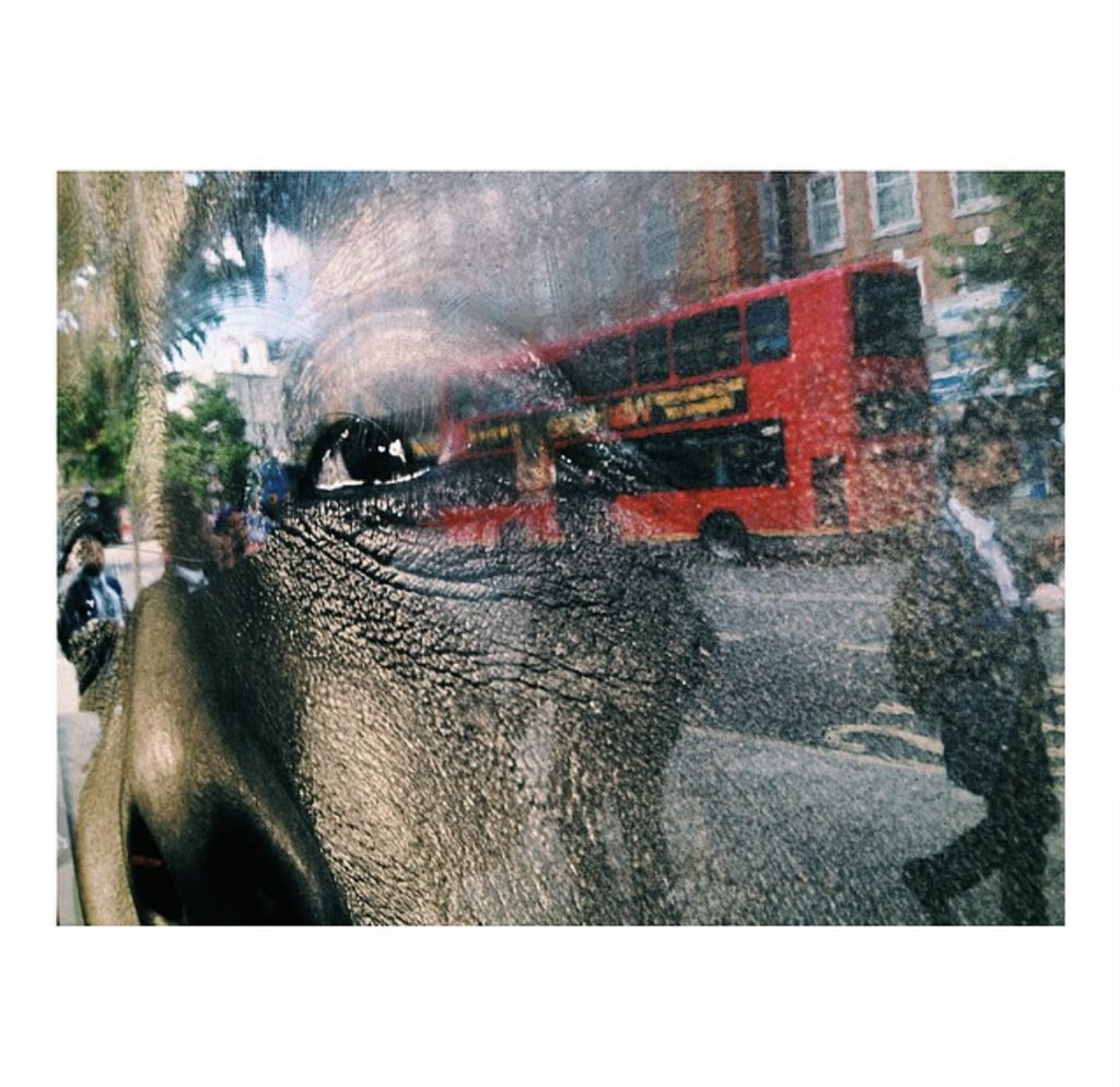 sottu's tweet photo. I will never know how you see red and you will never know how I see it. #streetphotography #nfts #nft #nftcommunity #NFTCommunityCryptoArt #photography #red #color https://t.co/ddrqbRCZ34