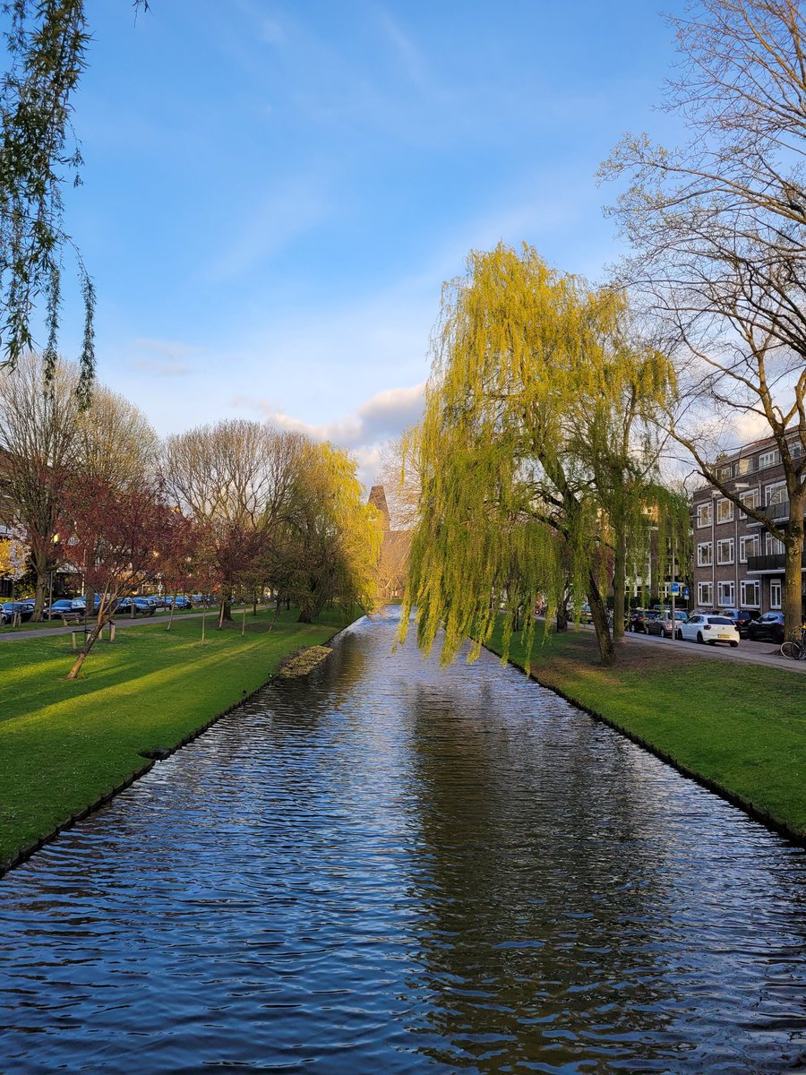 JanHenk010's tweet photo. Statensingel #Rotterdam https://t.co/oxjOvKEbbL