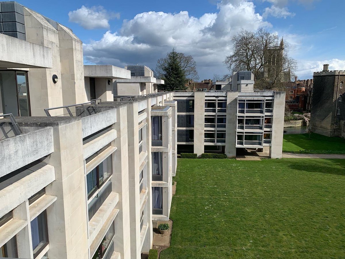 Otto Saumarez Smith tweet media