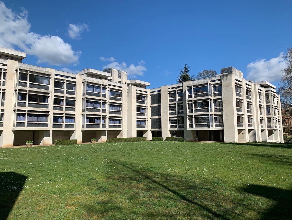 Otto Saumarez Smith tweet media