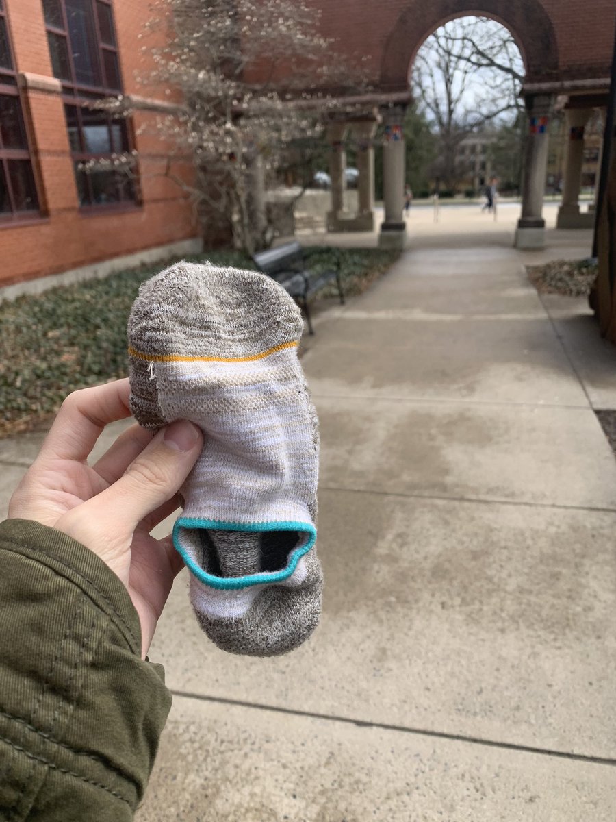 jojoyourchak's tweet photo. Safety sock and I taking a walk to class! @thespiss3 #GetUpAndSpoonPSU https://t.co/RgniX0i1vP