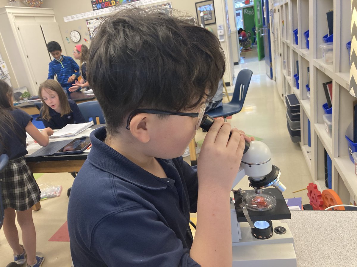 Shelly Fryer (she/her) ☕️ tweet media