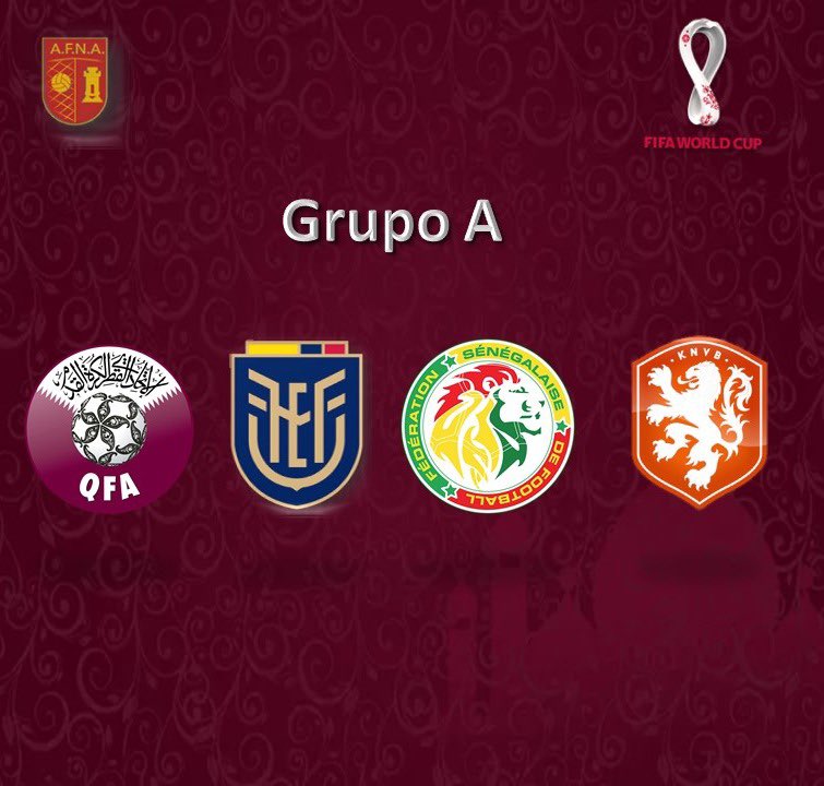AFNAPichincha's tweet photo. El mundial nos espera 

Abriremos la fiesta del mundo 🇶🇦🏆

Vamos @LaTri 🇪🇨 

#VamosEcuador #JuntosACatar 
#FIFAWorldCup https://t.co/cnLX2BsxK3