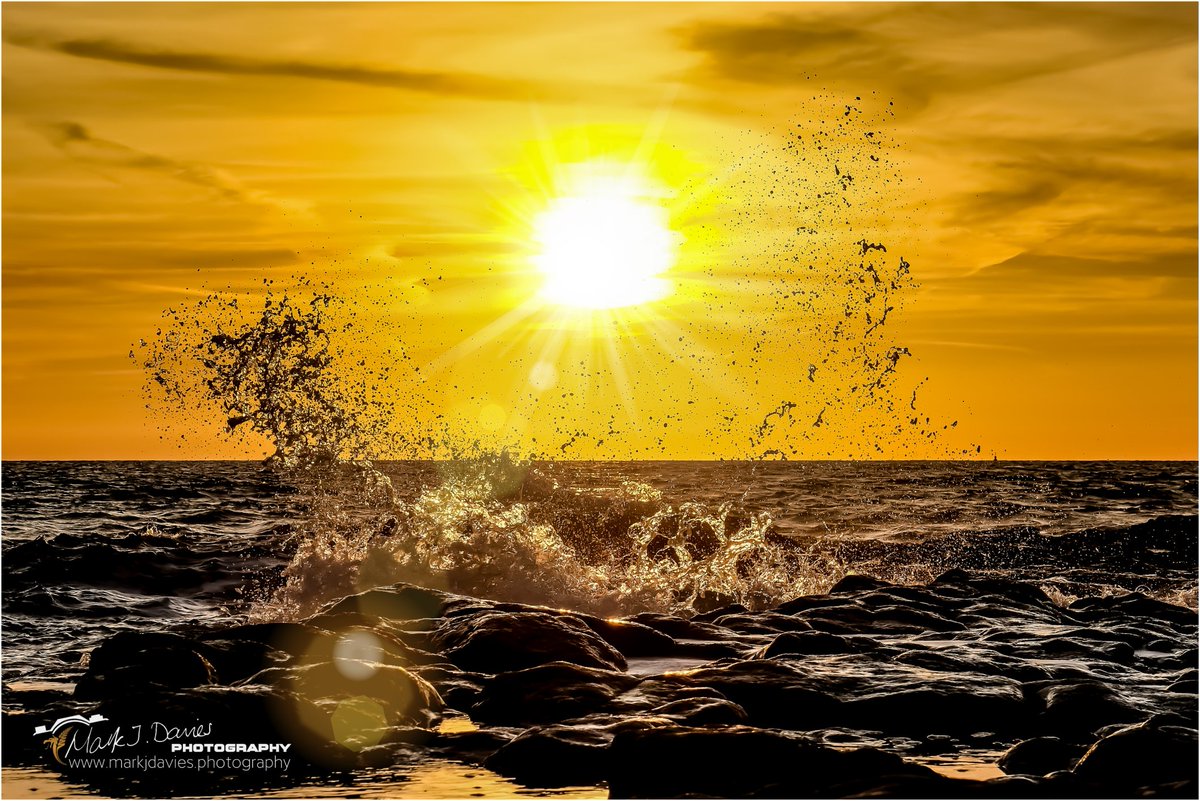 Mark J Davies Photography tweet media