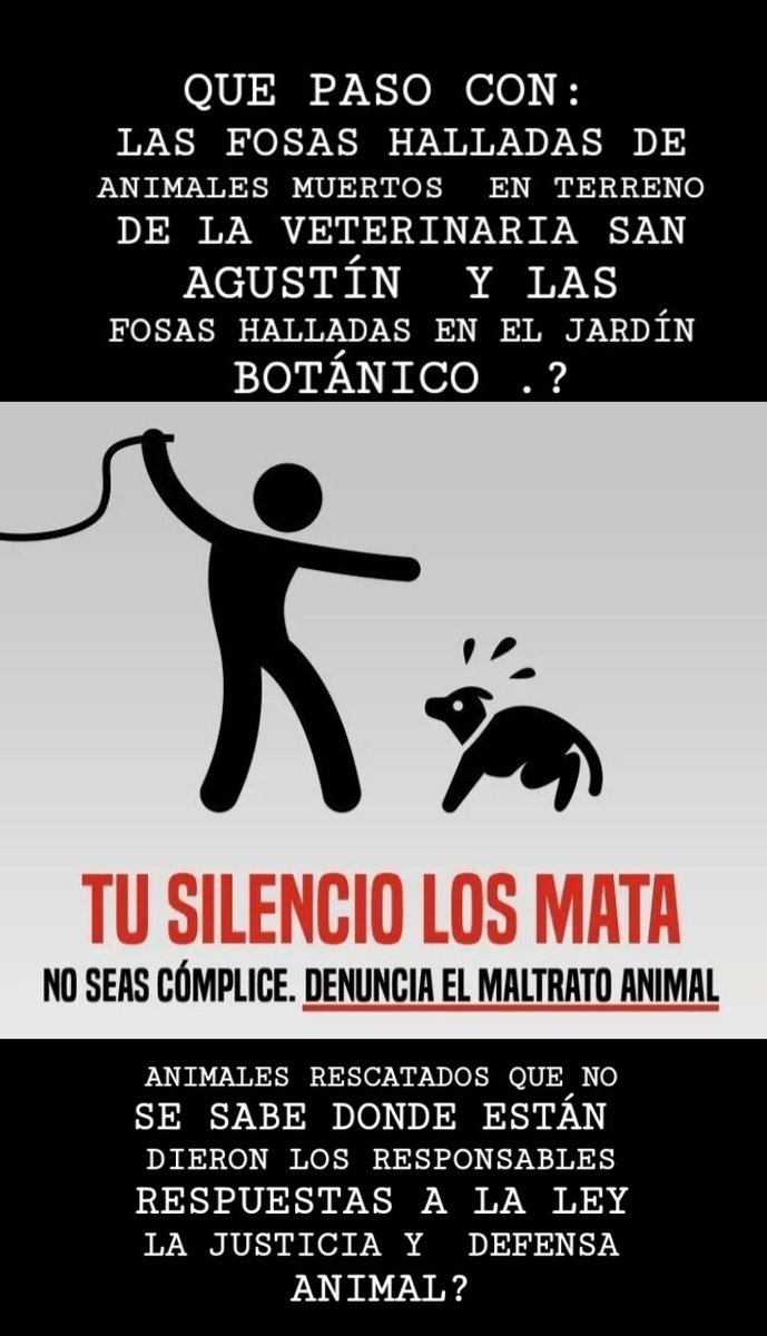 QUE PASA? SIGUE QUEDANDO EN EL OPA REI?. HACEN ALGO? YA DECLARARON DONDE ESTÁN LOS ANIMALES RESCATADOS? MUEVEN LA DENUNCIA???