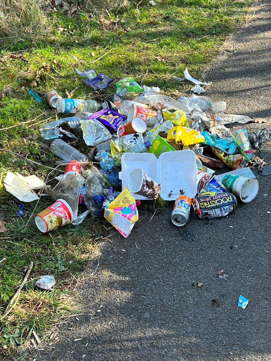 Greenwood_Acad's tweet photo. Great work from our school community with various groups working hard and contributing to improving our environment and local area. #community #eco #partcipation @IrvineBeach https://t.co/fgGS2BKaFv
